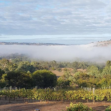 Pecan Hill Bnb Toodyay Eksteriør billede