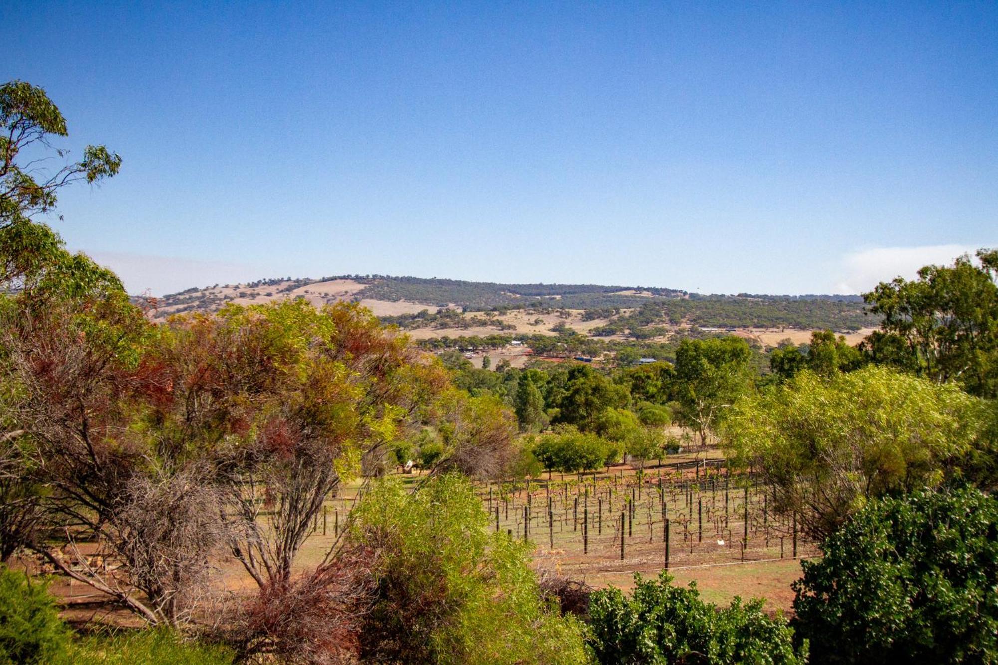 Pecan Hill Bnb Toodyay Eksteriør billede