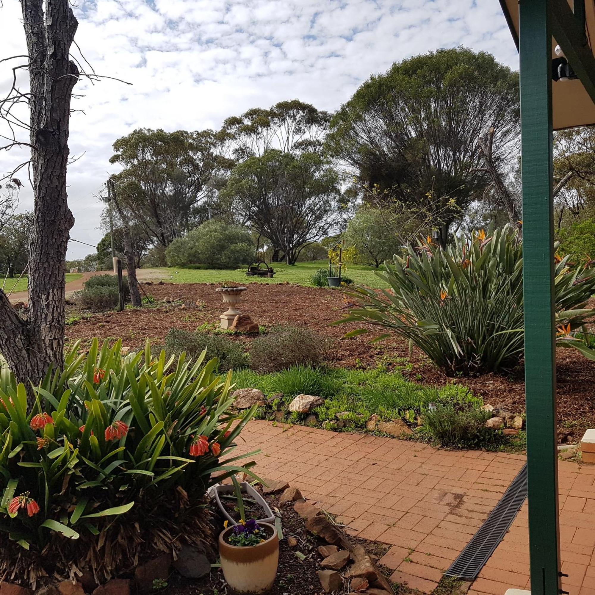 Pecan Hill Bnb Toodyay Eksteriør billede